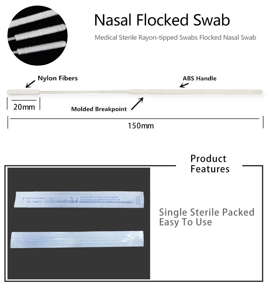 sample collection swab